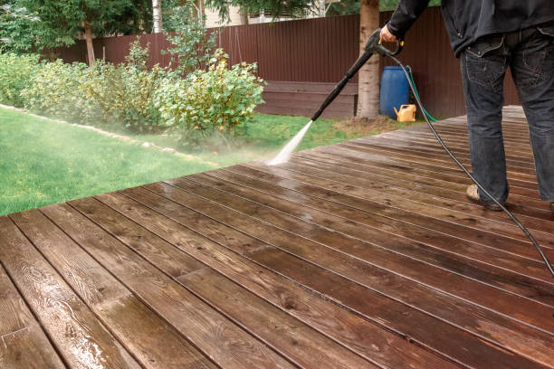 Best Patio and Deck Pressure Washing  in Temperance, MI